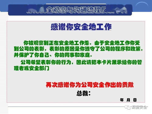 精品PPT分享 跨国公司安全管理文化在本钢材市场的应用